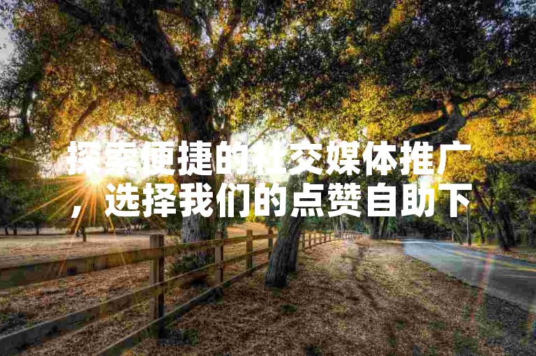 探索便捷的社交媒体推广，选择我们的点赞自助下单服务，让您的内容迅速获得关注。