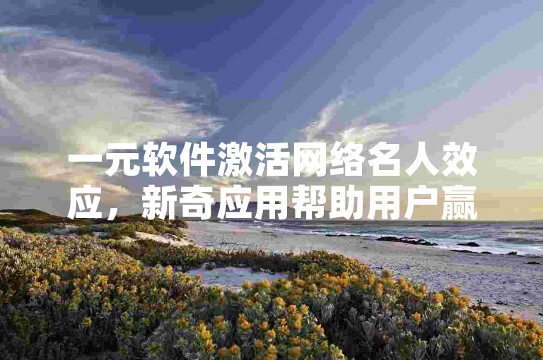一元软件激活网络名人效应，新奇应用帮助用户赢得千赞。