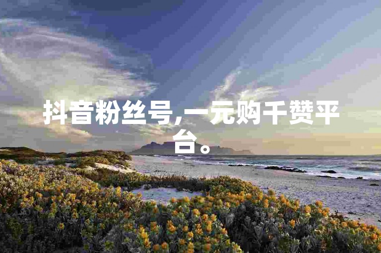 抖音粉丝号,一元购千赞平台。