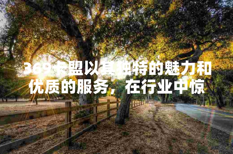 369卡盟以其独特的魅力和优质的服务，在行业中惊艳亮相。