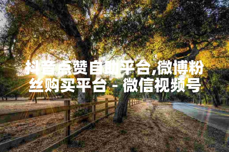 抖音点赞自助平台,微博粉丝购买平台 - 微信视频号刷赞平台 - 快手播放量卡盟。