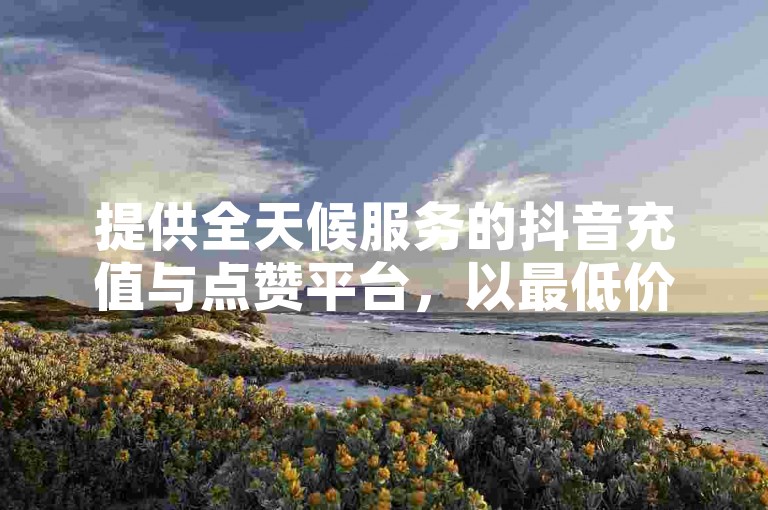 提供全天候服务的抖音充值与点赞平台，以最低价格满足您的社交媒体增长需求。