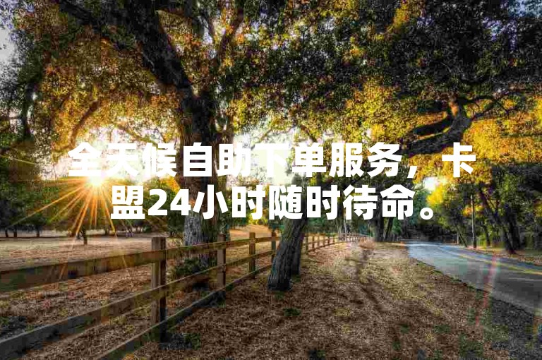 全天候自助下单服务，卡盟24小时随时待命。