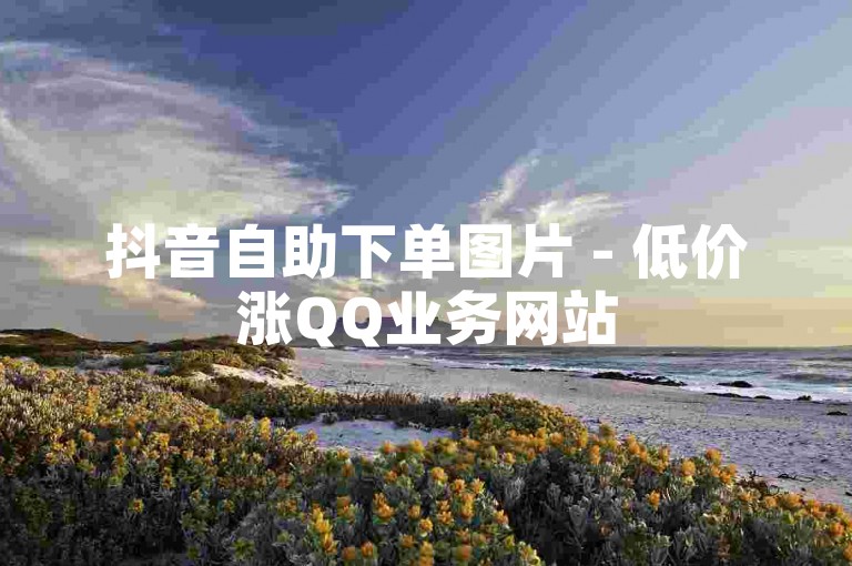 抖音自助下单图片 - 低价涨QQ业务网站
