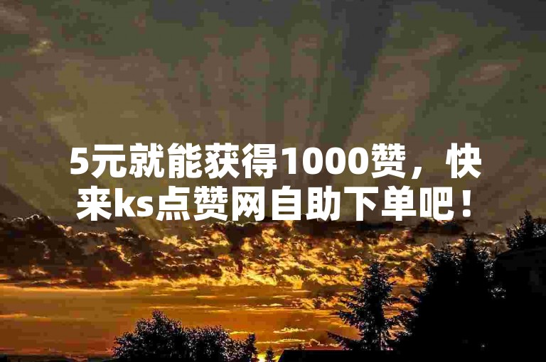 5元就能获得1000赞，快来ks点赞网自助下单吧！