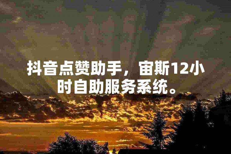 抖音点赞助手，宙斯12小时自助服务系统。