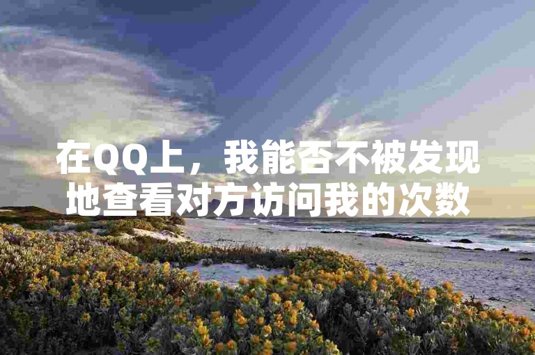 在QQ上，我能否不被发现地查看对方访问我的次数？2025年必掌握的技巧！