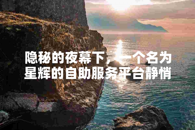 隐秘的夜幕下，一个名为星辉的自助服务平台静悄悄地运行，提供着不间断的便捷服务。