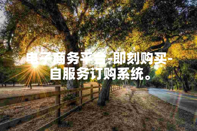 电子商务平台-即刻购买-自服务订购系统。