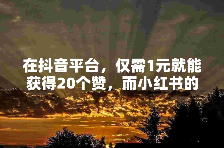 在抖音平台，仅需1元就能获得20个赞，而小红书的点赞项目则标价为3499元。