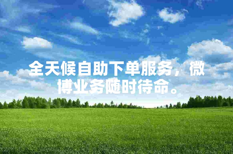 全天候自助下单服务，微博业务随时待命。