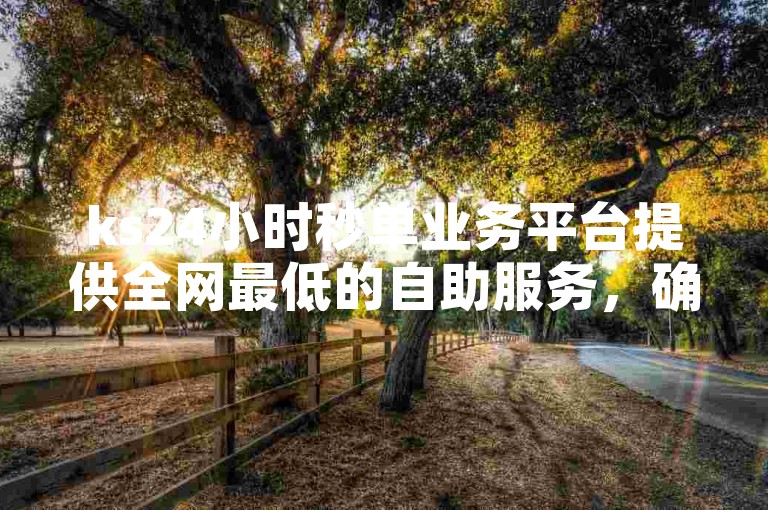 ks24小时秒单业务平台提供全网最低的自助服务，确保用户享受高效便捷的体验。