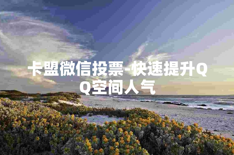 卡盟微信投票-快速提升QQ空间人气
