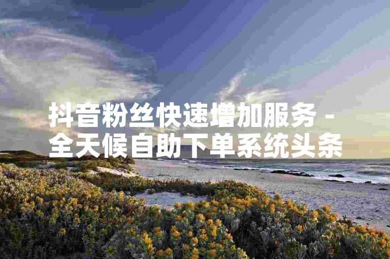 抖音粉丝快速增加服务 - 全天候自助下单系统头条号