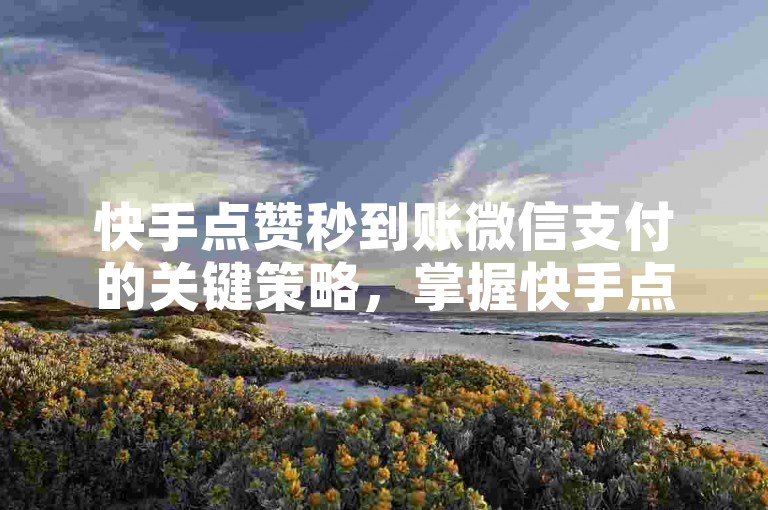 快手点赞秒到账微信支付的关键策略，掌握快手点赞即时到账的微信支付创新方式，新手必读！
