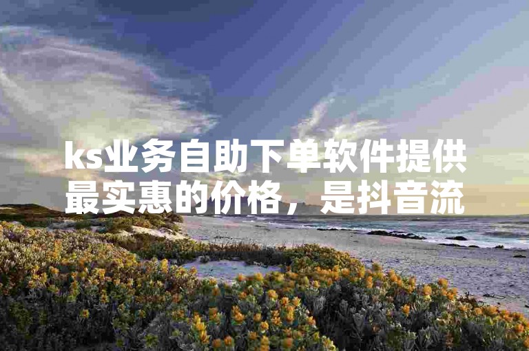 ks业务自助下单软件提供最实惠的价格，是抖音流量推广的得力助手。