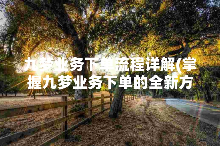 九梦业务下单流程详解(掌握九梦业务下单的全新方法)