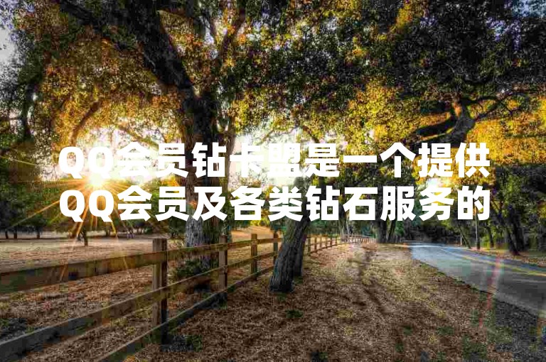 QQ会员钻卡盟是一个提供QQ会员及各类钻石服务的网络平台。
