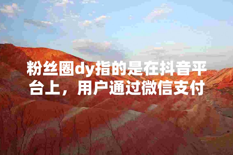 粉丝圈dy指的是在抖音平台上，用户通过微信支付购买虚拟礼物或服务的行为。