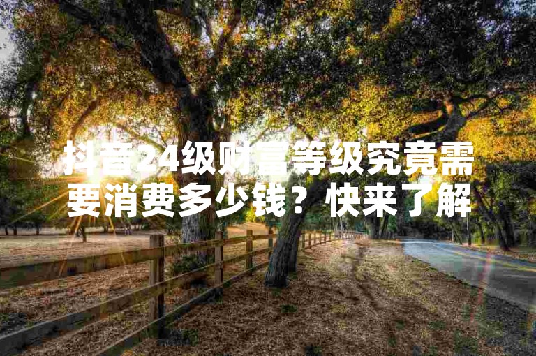 抖音24级财富等级究竟需要消费多少钱？快来了解2025年必知的消费标准！