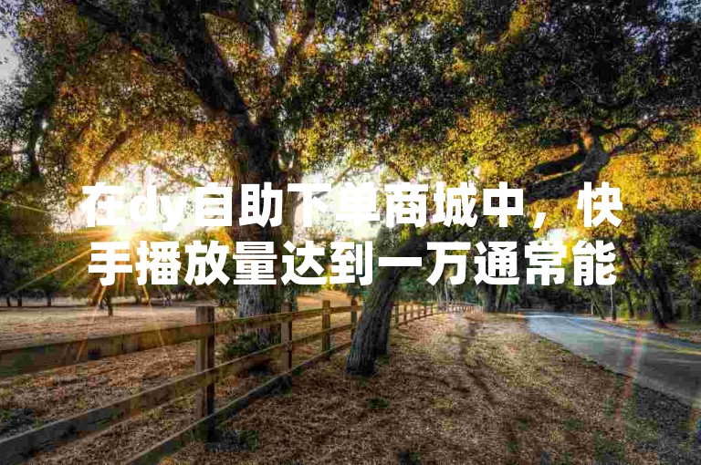 在dy自助下单商城中，快手播放量达到一万通常能赚取一定的收益。