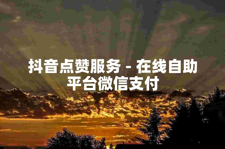 抖音点赞服务 - 在线自助平台微信支付