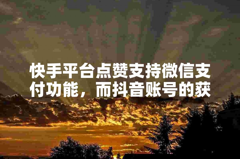 快手平台点赞支持微信支付功能，而抖音账号的获取途径也多种多样。