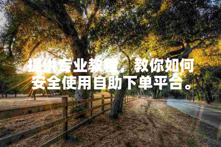 提供专业教程，教你如何安全使用自助下单平台。