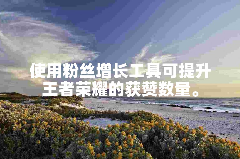 使用粉丝增长工具可提升王者荣耀的获赞数量。
