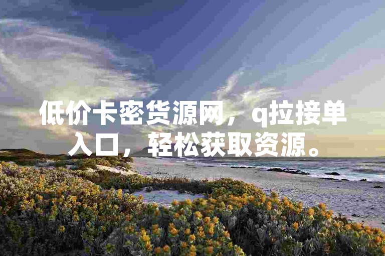 低价卡密货源网，q拉接单入口，轻松获取资源。