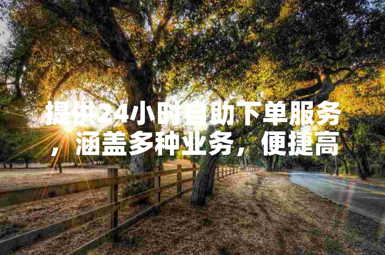 提供24小时自助下单服务，涵盖多种业务，便捷高效。