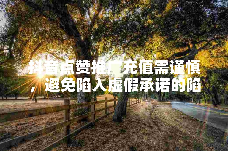 抖音点赞推广充值需谨慎，避免陷入虚假承诺的陷阱。