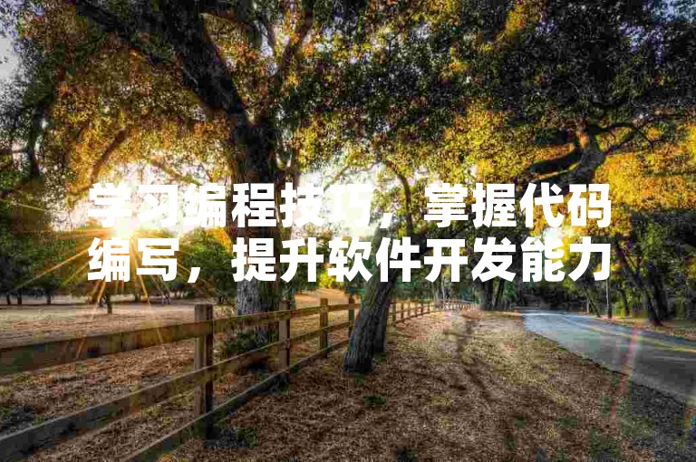 学习编程技巧，掌握代码编写，提升软件开发能力。