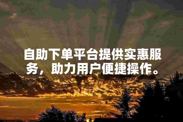 自助下单平台提供实惠服务，助力用户便捷操作。