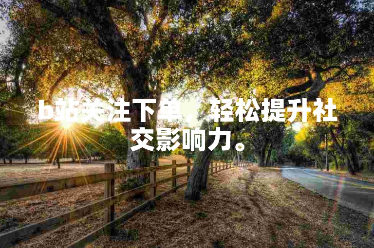 b站关注下单，轻松提升社交影响力。