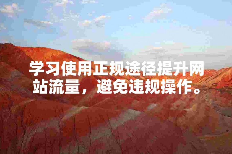学习使用正规途径提升网站流量，避免违规操作。