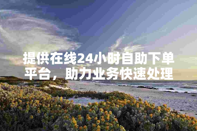 提供在线24小时自助下单平台，助力业务快速处理。