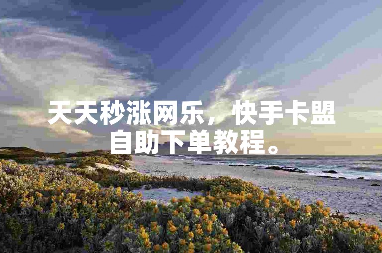 天天秒涨网乐，快手卡盟自助下单教程。