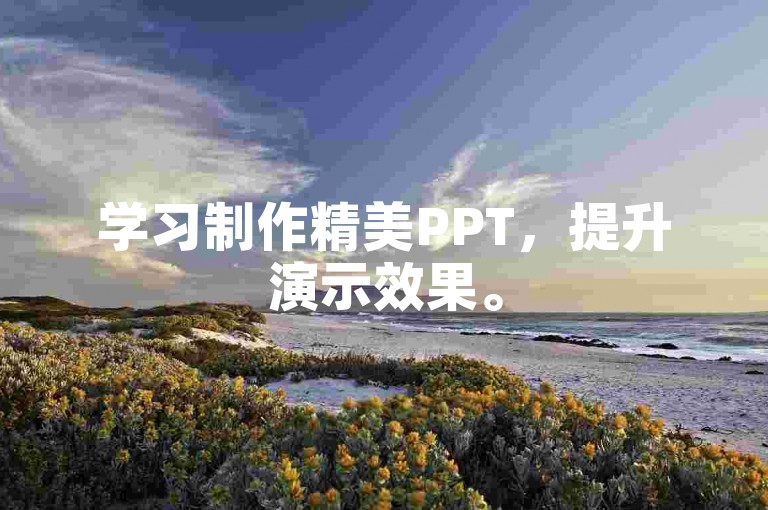 学习制作精美PPT，提升演示效果。
