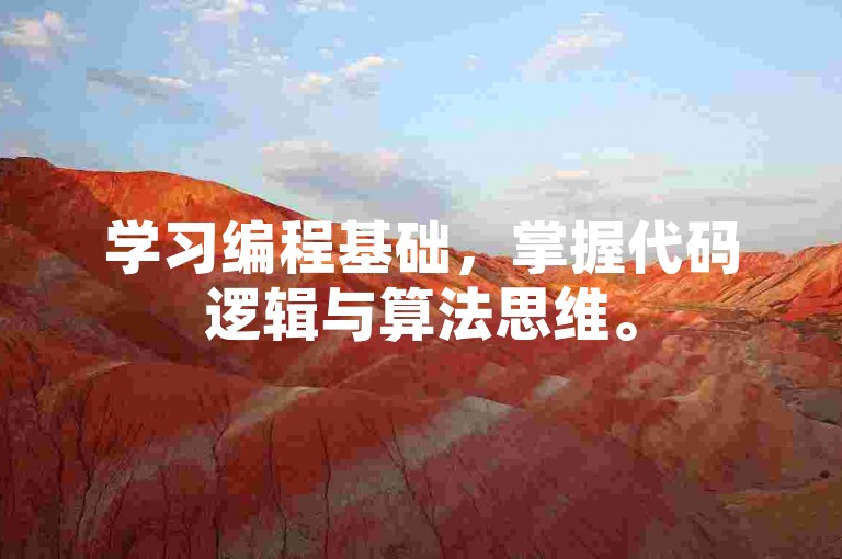 学习编程基础，掌握代码逻辑与算法思维。