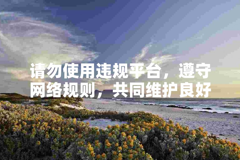 请勿使用违规平台，遵守网络规则，共同维护良好环境。