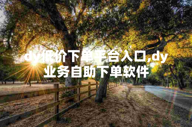 dy低价下单平台入口,dy业务自助下单软件