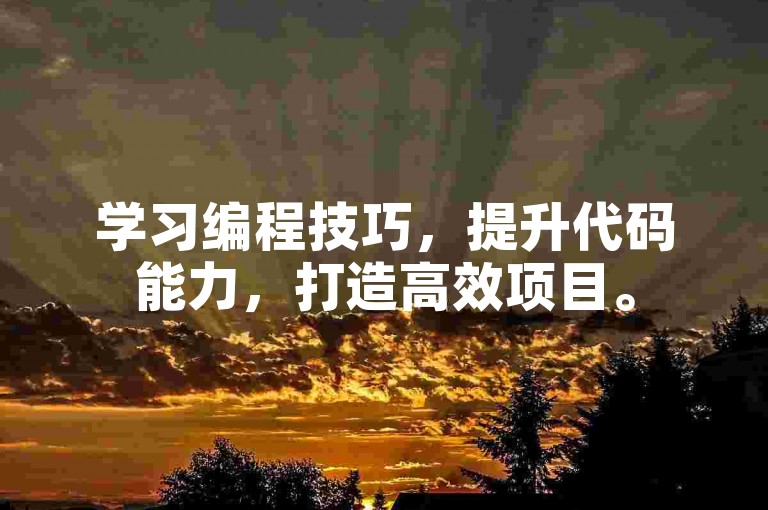 学习编程技巧，提升代码能力，打造高效项目。