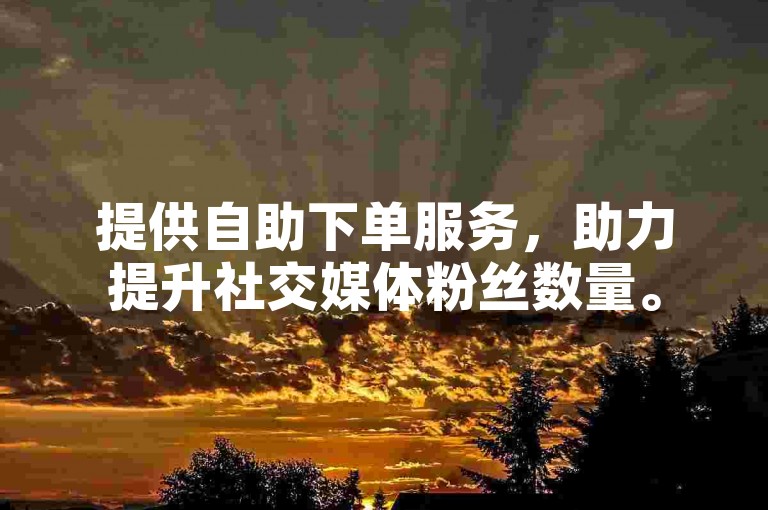 提供自助下单服务，助力提升社交媒体粉丝数量。