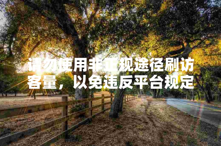 请勿使用非正规途径刷访客量，以免违反平台规定。