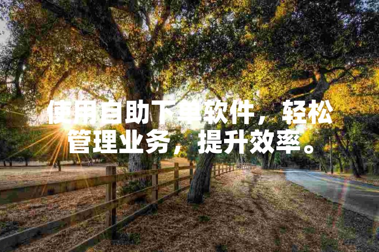 使用自助下单软件，轻松管理业务，提升效率。