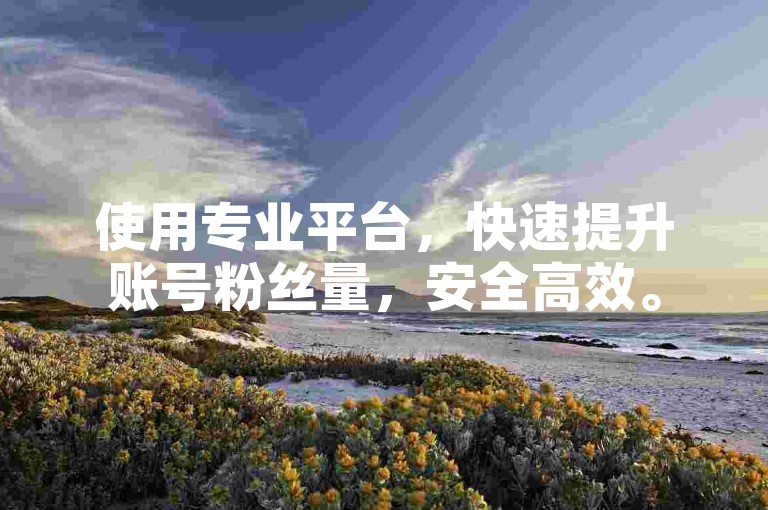 使用专业平台，快速提升账号粉丝量，安全高效。