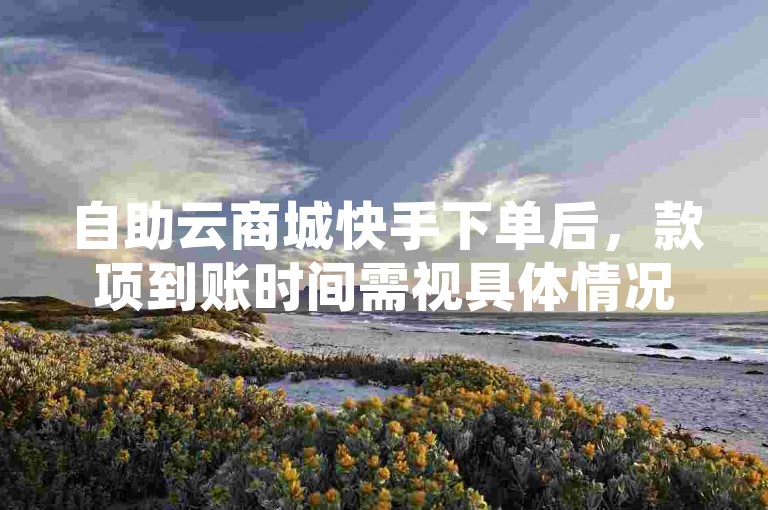 自助云商城快手下单后，款项到账时间需视具体情况而定。