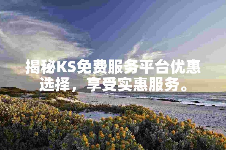 揭秘KS免费服务平台优惠选择，享受实惠服务。