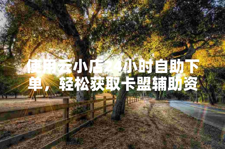 使用云小店24小时自助下单，轻松获取卡盟辅助资源。